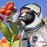 The Aukstronaut considers prickly-pear...