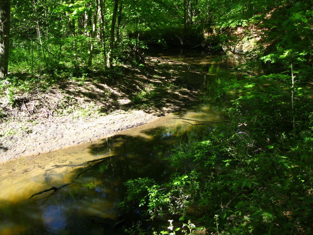 Forest stream with high banks, in the late afternoon